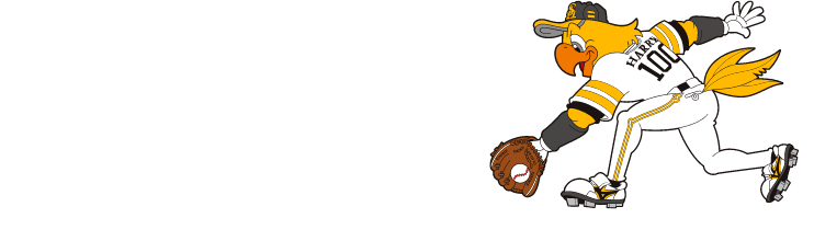 カンタン入力30秒